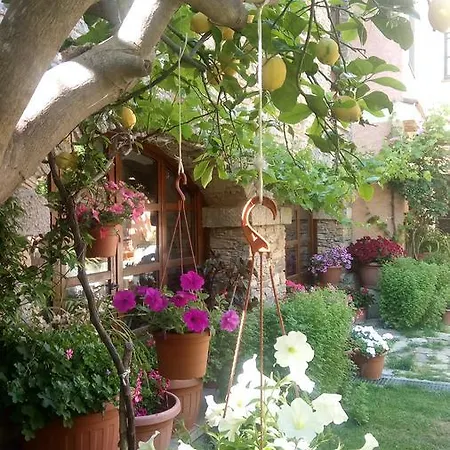 Teresina Bed and breakfast Villasalto